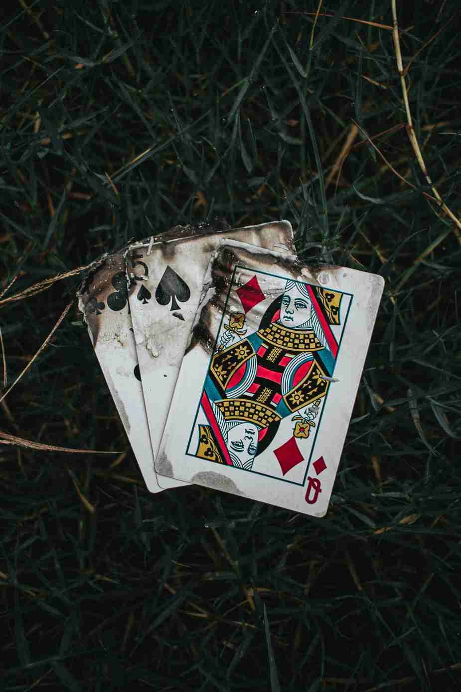 Mega casino
